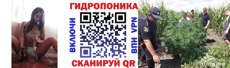 Где продают наркотики Петровск-Забайкальский Кокаин  Амфетамин  ГАШИШ  А ПВП 