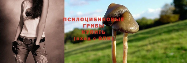 spice Алексин