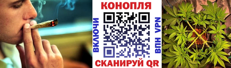 МАРИХУАНА OG Kush Петровск-Забайкальский